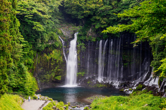 Shiraito Falls, Fuji-Hakone-Izu National Park, UNESCO World Heritage Site, Shizuoka Prefecture, Honshu, Japan, Asia