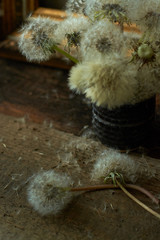 Still life with dandelions. Vintage. Author's style.