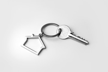 Macro view of silver key on the white background