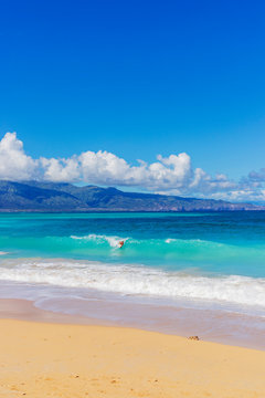 Body boarder, Baldwin Beach, Maui Island, Hawaii, United States of America, North America