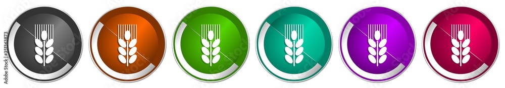 Poster grain icon set, silver metallic chrome border vector web buttons in 6 colors options for webdesign