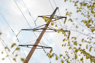 электрические столбы,electric poles,sky, tree, blue, nature, wire, pole, insect,...