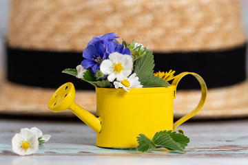 Summer background. Small watering can with a mini bouquet of wild flowers and hat