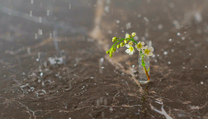 mini bouquet of cherry trees in a small flask vase in the rain on a dark marble table, the concept of relaxation and meditation