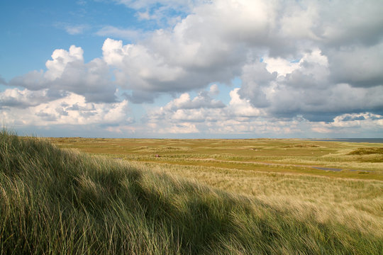 Deutschland, Schleswig-Holstein, Sylt, List, Landschaft am Sylter Ellenbogen