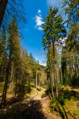 Spring trekking Beskidy Rysianka Romanka