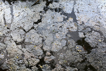 Wasser Spiegel mit Eintragungen aus der Umwelt