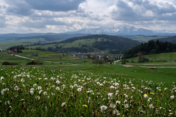 Fototapeta na wymiar Panoramic view at Tatra Mountains, hills, fields, meadows, dirt road
