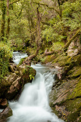 Obraz premium Waterfall in surrounded by tress and rocks in a forest in Galicia