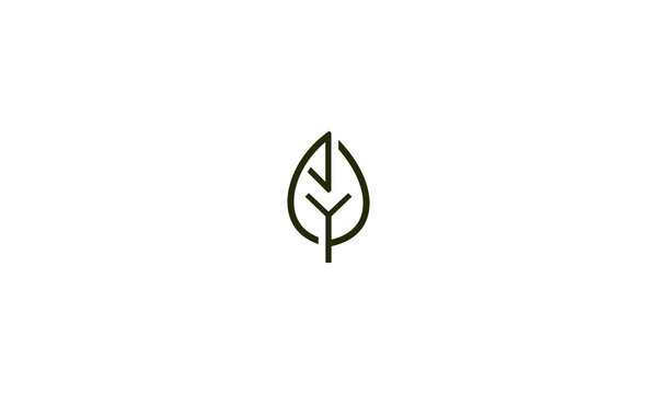 green leaf vector