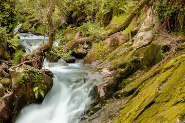 Waterfall in surrounded by tress and rocks in a forest in Galicia