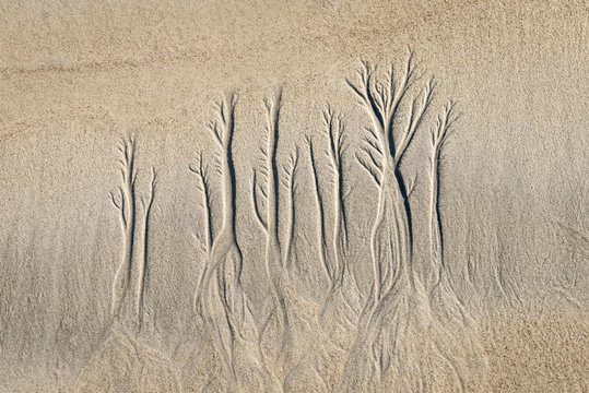 Norwegen, Nordland, Bleik, Das ablaufende Wasser hinterl&auml;sst bizzare Reliefs am Strand von Bleik