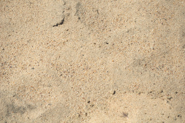 sandy background