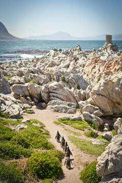 S&uuml;dafrika, Westkap, Cape, Garden Route, rund um Cape Town., Pinguine watscheln umher