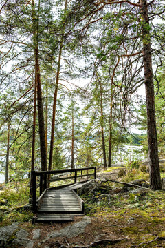 Finnland, Linnansaari Nationalpark, Wanderung im Linnansaari Nationalpark. Erreichbar mit dem Boot von Oravi aus., Der Weg &uuml;ber eine Holzbr&uuml;cke im Wald