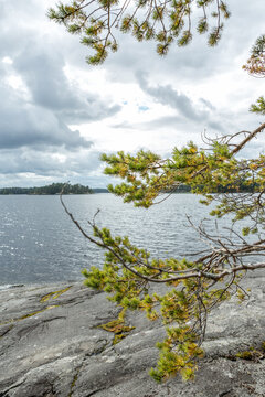 Finnland, Linnansaari Nationalpark, Wanderung im Linnansaari Nationalpark. Erreichbar mit dem Boot von Oravi aus., Blick auf den See