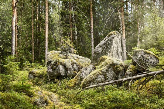 Finnland, Linnansaari Nationalpark, Wanderung im Linnansaari Nationalpark. Erreichbar mit dem Boot von Oravi aus., Linnansaari Nationalpark