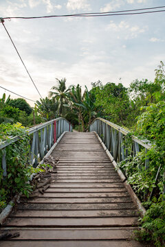 Vietnam, Cần Thơ, B&igrave;nh Thủy, Zu Besuch auf der Insel Con Son (Cồn Sơn, B&ugrave;i Hữu Nghĩa,) in der N&auml;he von Cần Thơ der gr&ouml;&szlig;te Stadt im Mekong-Delta und gleichzeitig die Hauptstadt des Mekong Delta. Wanderung zum Aussichtspunkt der Insel bei Sonnenuntergang., Alte Holzbr&uuml;cke im Palmenwald