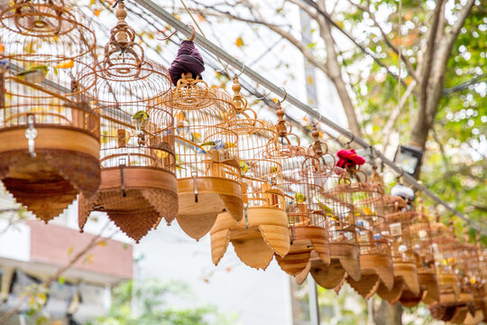 Vietnam, H&agrave; Nội, Ba Đ&igrave;nh, Stadtteil Cong Vi Ba Dinh / Q. Ba D&iacute;nh, V&ouml;gel im K&auml;fig