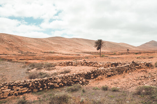 Spanien, Kanaren, La Oliva, Auf der Insel Fuerteventura. Typische Landschaft auf Fuerteventura im Norden der Insel