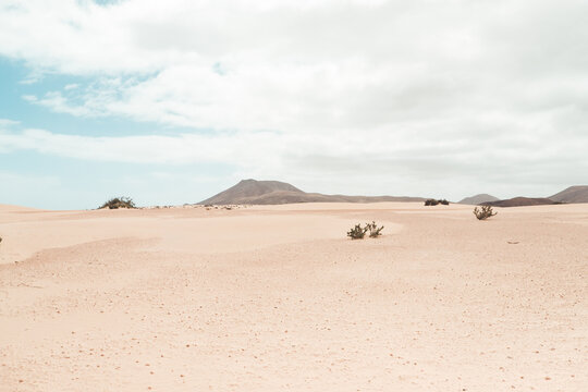 Spanien, Kanaren, La Oliva, Auf der Insel Fuerteventura. S&uuml;dlich von Corralejo erstreckt sich das D&uuml;nengebiet des Nationalparks - Parque Natural de las Dunas de Corralejo auf ca. 11 km L&auml;nge