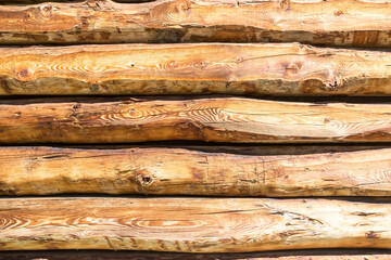 Raw and ancient wood texture, copy space photo
