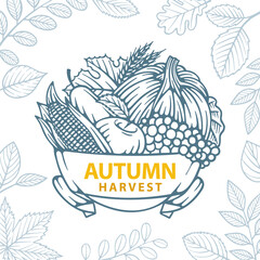 Autumn. Fall harvest. Hand drawn autumn fruits and different leafs. Pumpkin, corn, apple, pear, grape and wheat. Part of set.