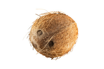 coconut isolated on the white background