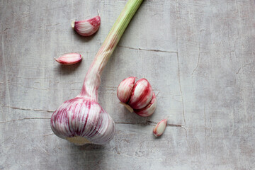 Fresh garlic on a dirty white background. Culinary or health theme concept. Top view. Close up.