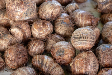 Several Brazilian cuisine beets on display for sale