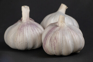 Alho inteiro em fundo escuro 