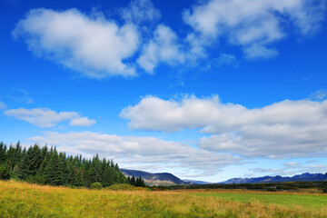 Obraz premium The famous Geysir area in Iceland, Europe
