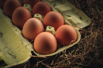 Organic eggs in a ecologic farm of Galician,Spain.