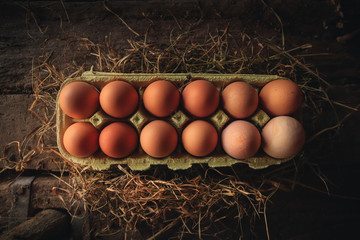 Organic eggs in a ecologic farm of Galician,Spain.