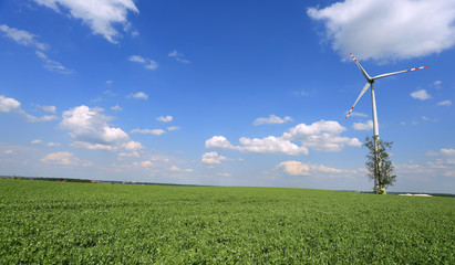 Turbina wiatrowa, wiatrak na zielonym polu, na tle niebieskiego nieba z chmurami. - obrazy, fototapety, plakaty