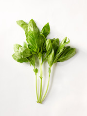 Bodegon de verduras