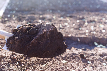Spade with ground black earth