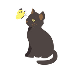 黒猫と蝶