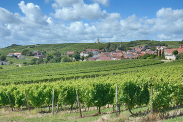 Fototapeta na wymiar Weinort Vendersheim in der Weinregion Rheinhessen,Rheinland-Pfalz,Deutschland