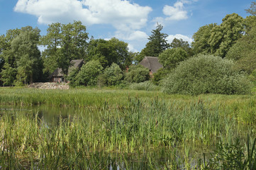 im Ort Schönwalde am Bungsberg,Holsteinische Schweiz,Schleswig-Holstein,Deutschland