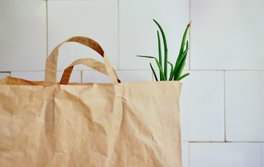food delivery in a paper bag in the kitchen