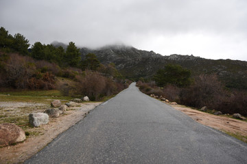 sierra