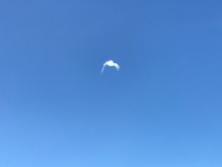 Obraz na płótnie Canvas A cloud in the sky