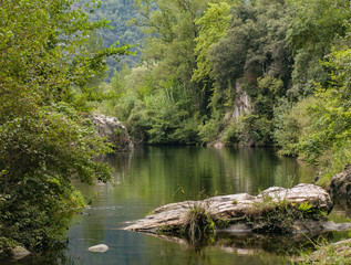 Lago en el bosque
