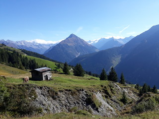 Fototapeta na wymiar view about mayrhofen in austria