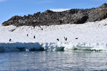 Foto op Aluminium View of Hope Bay, Antarctica © Takashi