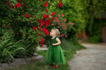 Portrait of a beautiful blonde girl with flowers of wild rose, bush of a red rose. A little girl...