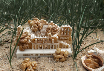 Walnut. Seashell. Green grass. Statuette. Nature. Abstraction.