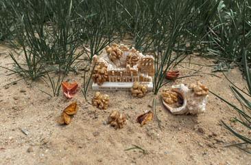 Walnut. Seashell. Green grass. Statuette. Nature. Abstraction.