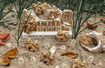 Walnut. Seashell. Green grass. Statuette. Nature. Abstraction.